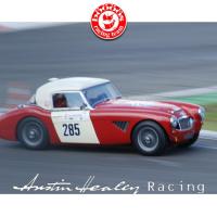 Austin Healey 3000